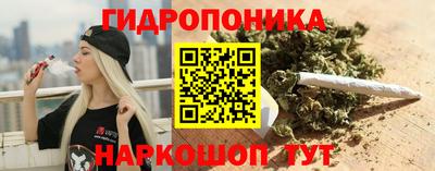 твердый Бийск