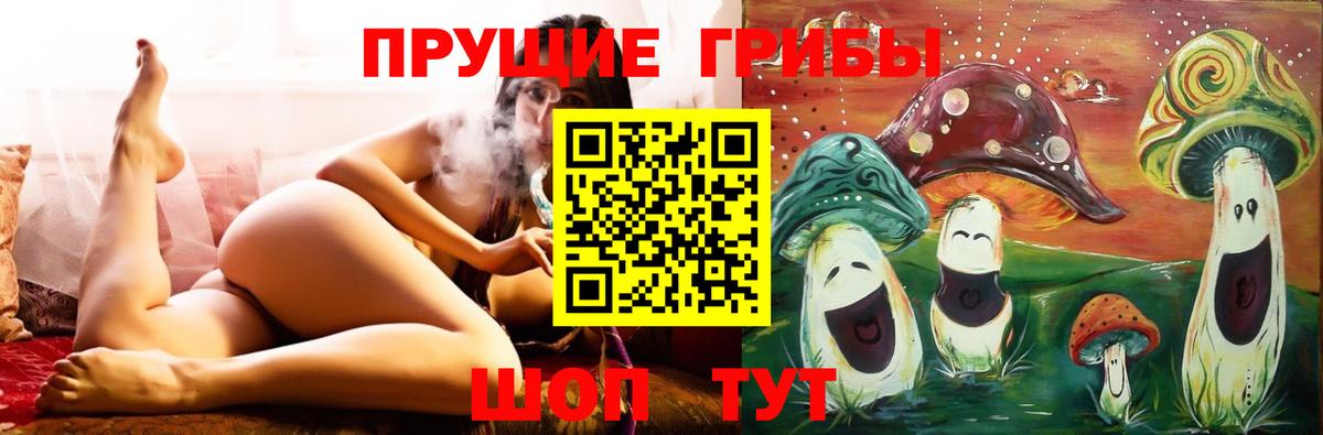 Псилоцибиновые грибы прущие грибы Касимов